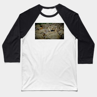 A face in the crowd Baseball T-Shirt